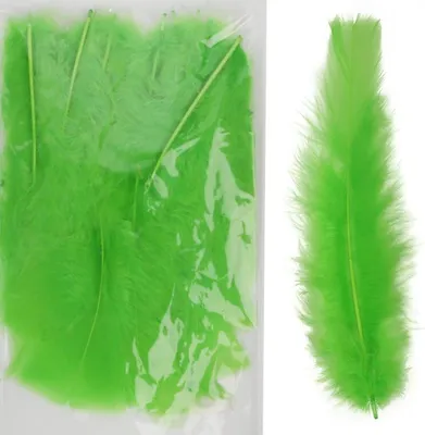 Produktbild von Grüne, natürliche Dekofedern, 9,5 cm - 10 Stück