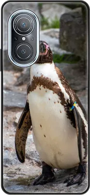 Produktbild von König Design Hülle kompatibel mit Huawei nova 9 SE Kunststoff Soft Handyhülle - Handy Case Pinguin