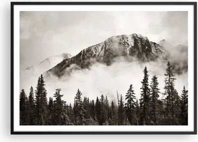 Produktbild von Gerahmtes Poster - Schwarzer Rahmen - Nebel Berg Wald - 100x70 cm - Wand Bild - Wanddeko - Wandbilder - Kunstposter - Wandposter - Bilderrahmen - Bilder - Kunstdruck - P2BAA100x70-4936