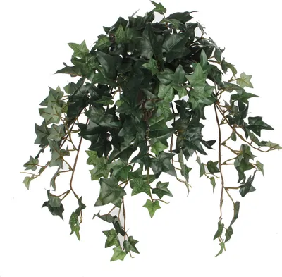 Produktbild von Mica Decorations Efeu Kunstpflanze im Blumentopf Stan - L45 x B25 x H25 cm - Grün