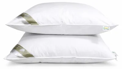 Produktbild von 2 Stück Betten Hofmann Luxus 3-Kammer-Kopfkissen 80x80 Daunenkissen kuschelweich und stützend
