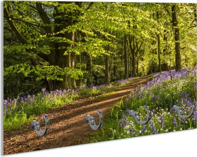 Produktbild von Wallario Schlüsselbrett aus Glas, Motiv: Blaues Hasenglöckchen im Sommerwald, 30 x 20 cm mit 4 Haken