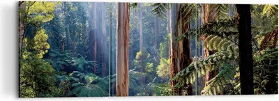Produktbild von Bild auf Leinwand - Leinwandbild - 3 Teile - Morgendämmerung Bäume Wald - 120x40cm - Wand Bild - Wanddeko - Wandbilder - Leinwanddruck - Bilder - Wanddekoration - Leinwand bilder - CA120x40-4403
