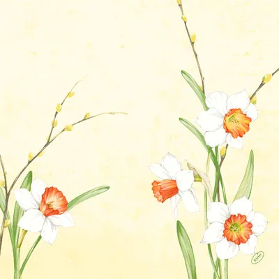 Image de Sv.dso.40X40 1/4 Daffo.joy60St