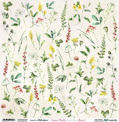 Zdjęcie produktu dla Papier do scrapbookingu 30x30 - ScrapAndMe - Summer Meadow Flowers 2 - arkusz do wycinania