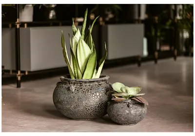 Produktbild von Vosteen Design Blumentopf / Pflanzgefäß Terrakotta schwarz ø 40 cm x H 27 cm