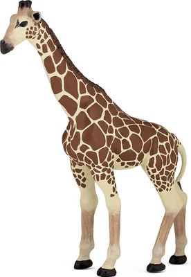 Produktbild von Papo Giraffe, 3 Jahr(e), Wild animal kingdom, Mehrfarbig, PVC