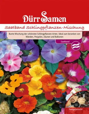 Produktbild von Schlingpflanze Mischung Saatband | Schlingpflanzesamen von Dürr Samen