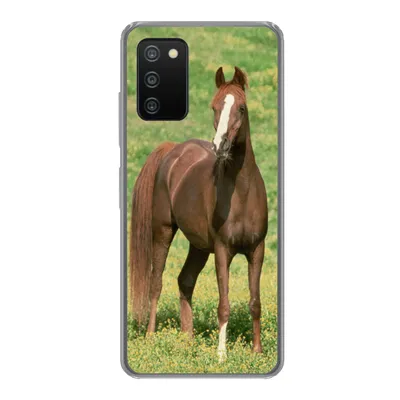 Produktbild von MuchoWow® Handyhülle Schutzhülle Hülle für Samsung Galaxy A03s Pferde - Gras - Braun Silikon Softcase Handy Hülle - Schutz