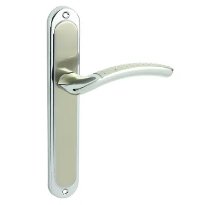 A door handle set on a white background.