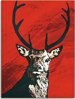 Produktbild von Catrin Kassube: Hirsch, Produkt:Leinwand, Größe (HxB):40x30 cm / Leinwand