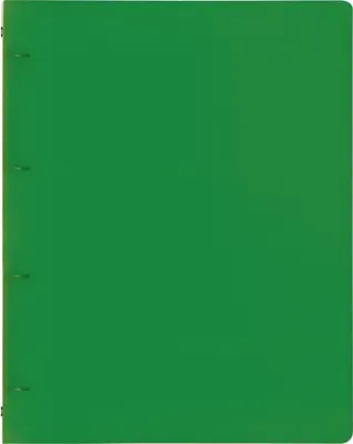Produktbild von BRUNNEN Ringbuch A4 FACT! 16mm 4-Ringe grün 106554650