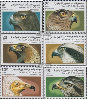 Produktbild von Briefmarken Sahara 1996 Mi Ausgabe der Exilregierung ohne Gültigkeit im int. Postverkehr Nr.14 postfrisch Raubvögel