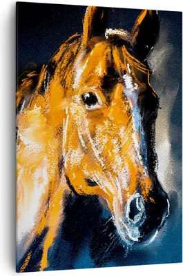 Produktbild von Bild auf Leinwand - Leinwandbild - Einteilig - Pferd Natur Tier - 70x100cm - Wand Bild - Wanddeko - Wandbilder - Leinwanddruck - Wanddekoration - Leinwand bilder - Wandbild - PA70x100-3425