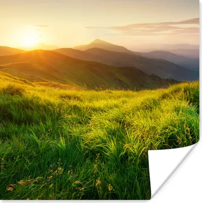 Produktbild von MuchoWow® Poster Gras - Hügel - Sonne - Natur - Landschaft 100x100 cm - Babyzimmer