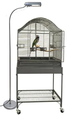 Obrázok produktu pre AvianSun Deluxe podlahová lampa