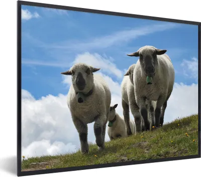 Produktbild von MuchoWow® Gerahmtes Poster Schafe - Berge - Alpen 40x30 cm - Poster mit Schwarzem Bilderrahmen Wandposter Rahmen Foto Bilder - Kunstposter - Wanddekorationen