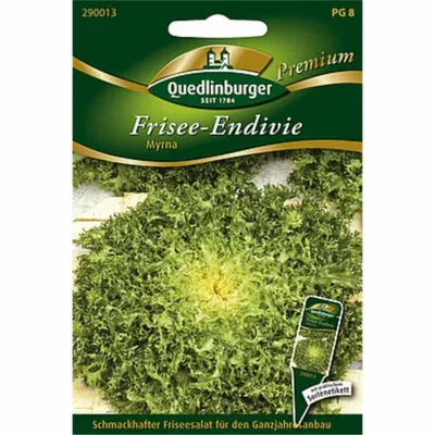 Immagine prodotto di Semi di Quedlinburger Saat - Frisee-Endivie Myrna - semi - 290013