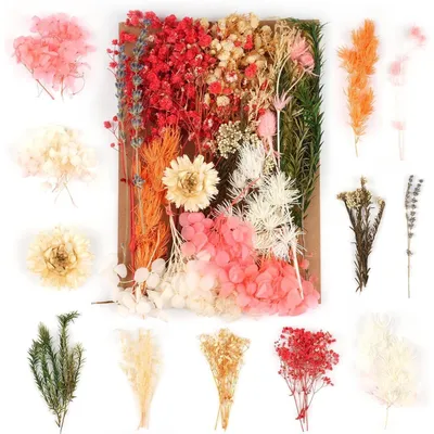 Immagine prodotto di Set di fiori secchi arancioni misti, ideali per lavori manuali e decorazioni. Fiori naturali essiccati, perfetti per resina epossidica, scrapbooking e biglietti