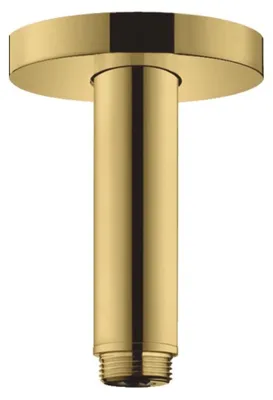 Obrázok produktu pre HANSGROHE 27393990 Stropná prípojka S DN15 100mm