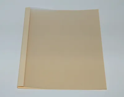 Produktbild von Ösenmappe, Lederstruktur, 8 mm, Farbe beige, glasklare Folie, VPE= 100 St.