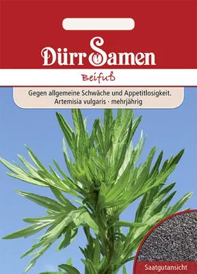 Produktbild von Dürr-Samen - Beifuß - Saatgut - 0173