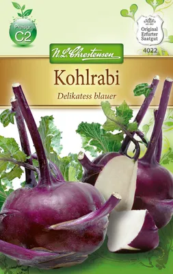 Produktbild von Kohlrabi Delikatess Blauer | Kohlrabisamen von N.L. Chrestensen