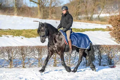 Produktbild von Bucas Riding - Ausreitdecke Nierendecke wasserdicht 125 cm = "S"