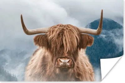 Produktbild von MuchoWow® Poster Schottischer Highlander - Berg - Nebel 30x20 cm - Plakate - Print