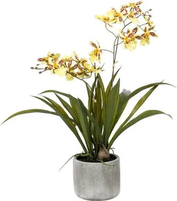 Produktbild von Künstliche Pflanze Orchidee Gelb 45cm Zimmerpflanze Grünpflanze Topfpflanze
