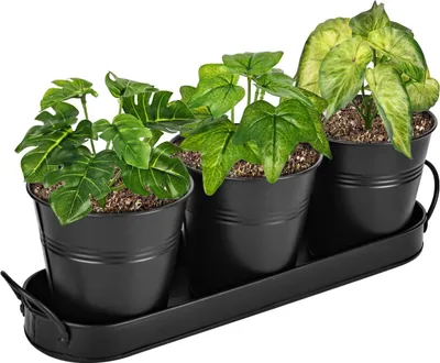 Produktbild von Keramik-Topf-Set für Küchenfensterbank - 3er Set mit Düsenunterteller
