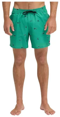 Image de Maillot de bain Quiksilver EQYJV04217-GNZ1 pour Homme