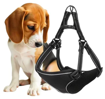 Produktbild von Bequemes, sicheres Hundegeschirr, reflektierend, Größe M