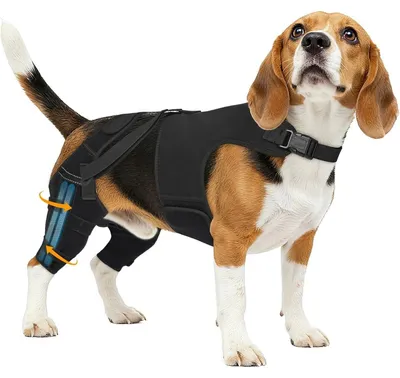Produktbild von INF Hund Hinterbein Stützhülle Polyester atmungsaktiv Erholung M L XL L