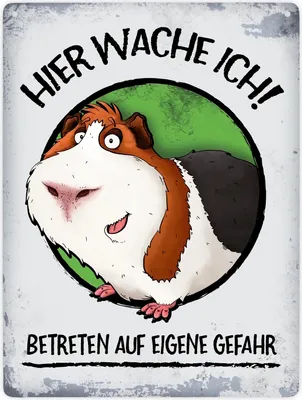 Produktbild von Hier wache ich! Betreten auf eigene Gefahr Metallschild XXL mit Meerschweinchen