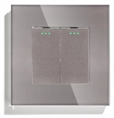 Produktbild von DC Smart Home Primo Doppel-Wippschalter Glas Grau