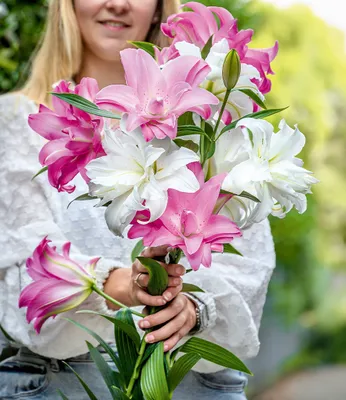 Produktbild von BALDUR Garten Duft-Lilien 'Lotus Mix', 4 Zwiebeln, große, gefüllte Blüten, süßer, delikater Duft, winterhart, mehrjährig, ideal für Garten & Kübel, pflegeleicht