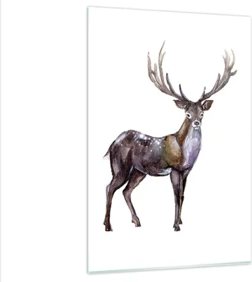 Produktbild von Bilder auf glas - Einteilig - Liebes Tier Wild Wald - 80x120cm - Glasbilder - Wandbilder - Bilder - zum Aufhängen bereit - Wanddekoration aus Glas - Glas Bilder - Wandbild auf Glas - GPA80x120-2938