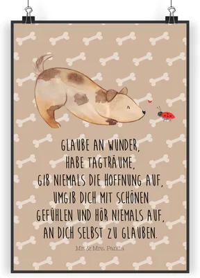 Produktbild von Mr. & Mrs. Panda Bild Hund Marienkäfer DIN A4 - Hundeglück - Geschenk, Plakat, kunstdruck poster, Wandbild, Hunde, Sprüche, Positiv, Zuversichtlich, Mischlinghund, drucke
