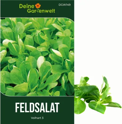 Produktbild von Feldsalat Volhart 3 Samen - Valerianella locusta - Salatsamen - Gemüsesamen - Saatgut für 300 Pflanzen