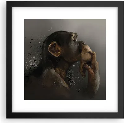 Produktbild von Gerahmtes Poster - Schwarzer Rahmen - Schimpanse Porträt Grafik - 30x30 cm - Wand Bild - Wanddeko - Wandbilder - Kunstposter - Wandposter - Bilderrahmen - Bilder - Kunstdruck - P2BAC30x30-4676