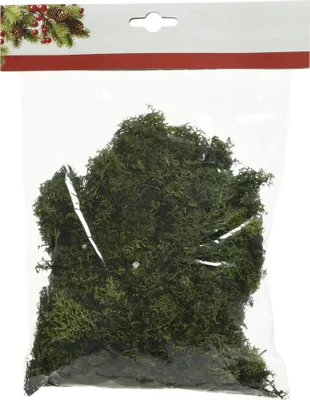 Produktbild von Moos Natur zum Basteln und Dekorieren 50g Grün
