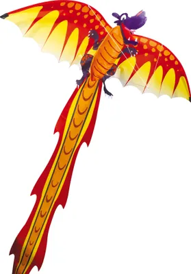 Produktbild von Einleinerdrachen Dragon 3D 102x320cm, 1St.