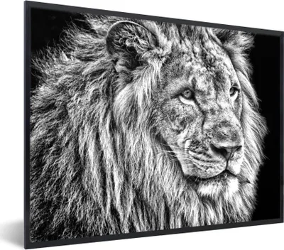 Produktbild von MuchoWow® Gerahmtes Poster Porträt - Löwe - Schwarz und weiß 80x60 cm - Poster mit Schwarzem Bilderrahmen Wandposter Rahmen Foto Bilder - Schwarzem - Mit Gestell