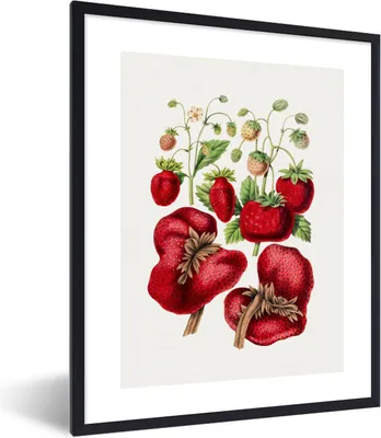 Produktbild von MuchoWow® Gerahmtes Poster Lebensmittel - Obst - Erdbeeren 30x40 cm - Poster mit Schwarzem Bilderrahmen Wandposter Rahmen Foto Bilder - Wanddeko - Kunstdrucke