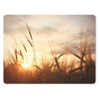 Produktbild von MuchoWow® Mauspad Mousepad Schilf - Gras - Sonnenuntergang - Natur - Horizont 23x19 cm - Mousepads - Maus Mat - Pad - Mausunterlage - Schreibtischunterlage - Mauspad