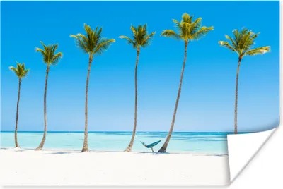 Produktbild von MuchoWow® Poster Meer - Palmen - Hängematte 120x80 cm - Bilder