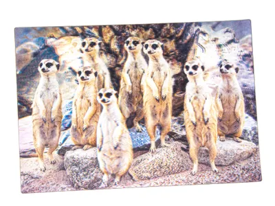 Produktbild von 3 D Ansichtskarte Erdmännchen, Erdmann Afrika Postkarte Wackelkarte Hologrammkarte Tiere