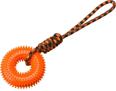 Produktbild von Kauspielzeug für Hunde mit Stachelring für aggressive Kauer, interaktiver quietschender Stachelring mit Seil, Apportierspielzeug für Hundetraining, für kleine, mittelgroße und große Hunde