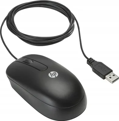 Zdjęcie produktu dla HP Mysz optyczna USB z przewijaniem, Oburęczny, Optyczny, USB Typu-A, 800 DPI, Czarny